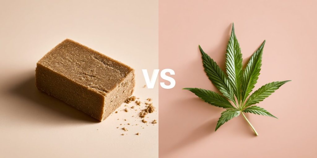 hachis o marihuana