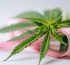 puede el cbd ayudar a adelgazar