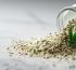 beneficios nutricionales del canamo