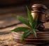 legislacion del cbd