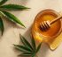 como hacer miel con cbd