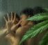 cannabis libido efectos